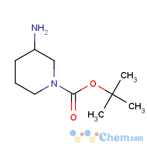 CAS No:144243-24-3 tert-butyl 3-aminopiperidine-1-carboxylate