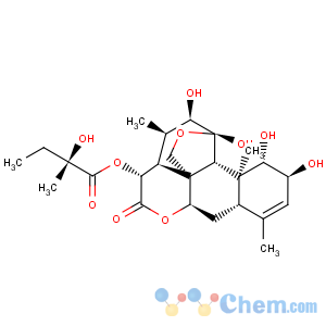 CAS No:1448-23-3 Picras-3-en-16-one,11,20-epoxy-1,2,11,12-tetrahydroxy-15-[(2S)-2-hydroxy-2-methyl-1-oxobutoxy]-,(1b,2a,11b,12a,15b)-