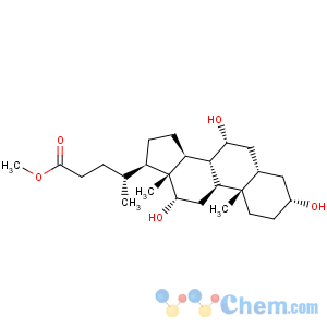 CAS No:1448-36-8 Methyl cholate