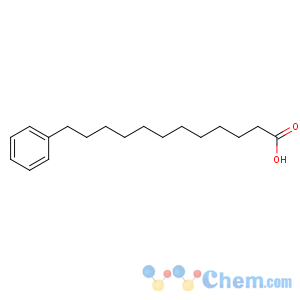CAS No:14507-27-8 12-phenyldodecanoic acid