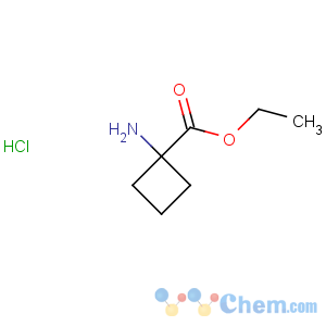 CAS No:145143-60-8 Cyclobutanecarboxylicacid, 1-amino-, ethyl ester, hydrochloride (1:1)
