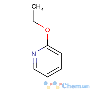 CAS No:14529-53-4 2-ethoxypyridine