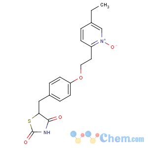 CAS No:145350-09-0 5-[[4-[2-(5-ethyl-1-oxidopyridin-1-ium-2-yl)ethoxy]phenyl]methyl]-1,<br />3-thiazolidine-2,4-dione