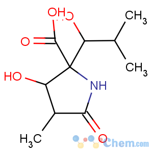 CAS No:145451-97-4 (2R,3S,<br />4R)-3-hydroxy-2-[(1R)-1-hydroxy-2-methylpropyl]-4-methyl-5-<br />oxopyrrolidine-2-carboxylic acid