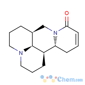 CAS No:145572-44-7 Sophocarpine
