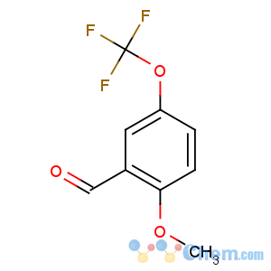 CAS No:145742-65-0 2-methoxy-5-(trifluoromethoxy)benzaldehyde