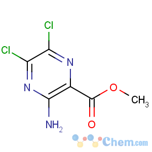 CAS No:1458-18-0 methyl 3-amino-5,6-dichloropyrazine-2-carboxylate