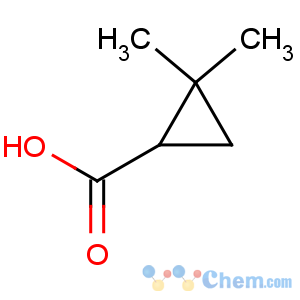 CAS No:14590-53-5 (1S)-2,2-dimethylcyclopropane-1-carboxylic acid