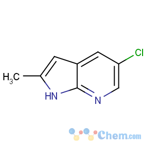 CAS No:145934-81-2 5-chloro-2-methyl-1H-pyrrolo[2,3-b]pyridine