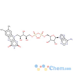 CAS No:146-14-5 Riboflavin5'-(trihydrogen diphosphate), P'®