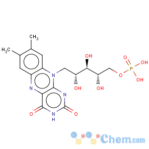 CAS No:146-17-8 Riboflavin5'-(dihydrogen phosphate)