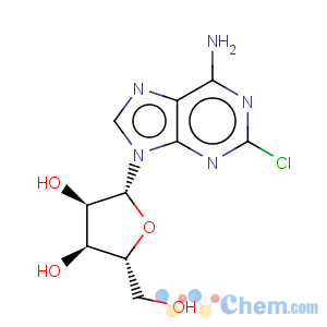 CAS No:146-77-0 2-Chloroadenosine