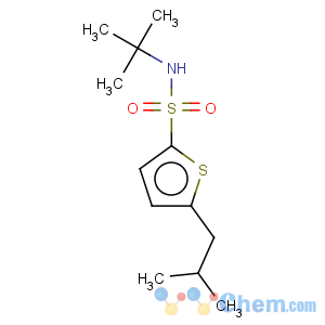 CAS No:146013-28-7 2-Thiophenesulfonamide,N-(1,1-dimethylethyl)-5-(2-methylpropyl)-