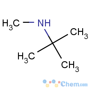 CAS No:14610-37-8 N,2-dimethylpropan-2-amine