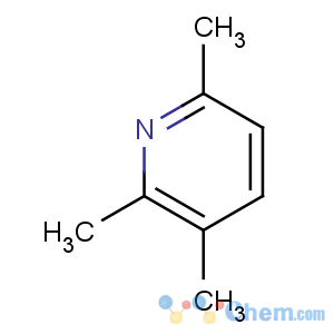 CAS No:1462-84-6 2,3,6-trimethylpyridine