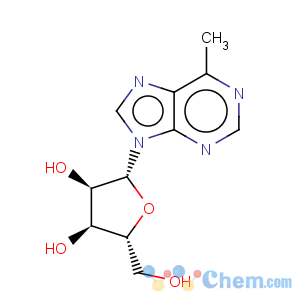 CAS No:14675-48-0 9H-Purine, 6-methyl-9-b-D-ribofuranosyl-