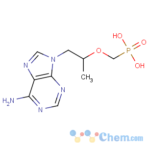 CAS No:147127-20-6 [(2R)-1-(6-aminopurin-9-yl)propan-2-yl]oxymethylphosphonic acid