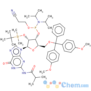 CAS No:147201-04-5 5'-O-(4,4-Dimethoxytrityl)-2'-O-[(tert-butyl)dimethylsilyl]-N-isobutyrylguanosine-3'-(2-cyanoethyl-N,N-diisopropyl)phosphoramidite5'-O-(4,4-Dimethoxytrityl)-2'-O-[(tert-butyl)dimethylsilyl]-N-isobutyrylguanosine-3'-(2-cyanoethyl-N,N-diisopropyl)phosphoramidite5'-O-DMT-2'-TBDMS-rG(N-iBu)-3'-CEDPA