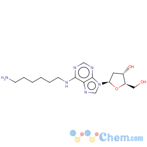 CAS No:147218-60-8 Adenosine,N-(6-aminohexyl)-2'-deoxy- (9CI)