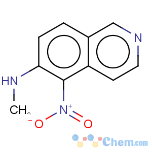CAS No:147293-17-2 6-Isoquinolinamine,N-methyl-5-nitro-