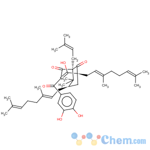 CAS No:147687-35-2 Bicyclo[3.3.1]non-3-ene-2,9-dione,3-(3,4-dihydroxybenzoyl)-5,7-bis[(2E)-3,7-dimethyl-2,6-octadien-1-yl]-4-hydroxy-8,8-dimethyl-1-(3-methyl-2-buten-1-yl)-,(1R,5R,7S)-rel-(-)-