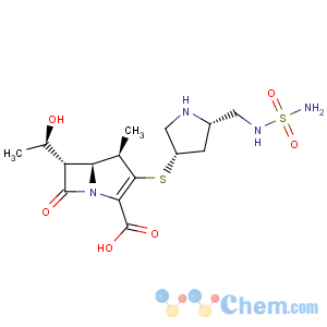 CAS No:148016-81-3 Doripenem