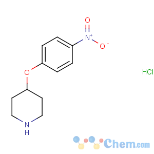 CAS No:148505-45-7 4-(4-nitrophenoxy)piperidine