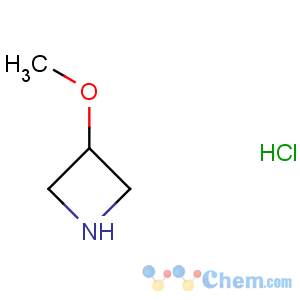 CAS No:148644-09-1 3-methoxyazetidine