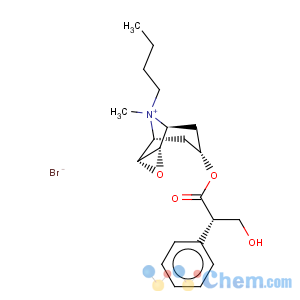 CAS No:149-64-4 Scopolamine butylbromide