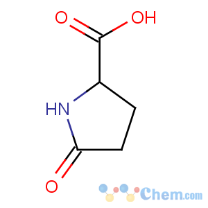 CAS No:149-87-1 5-oxopyrrolidine-2-carboxylic acid