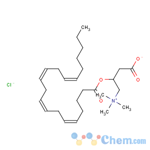 CAS No:149116-07-4 1-Propanaminium,3-carboxy-N,N,N-trimethyl-2-[(1-oxoeicosyl)oxy]-, chloride (1:1)