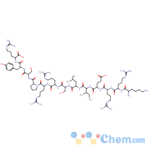 CAS No:149155-45-3 L-Arginine,L-lysyl-L-arginyl-L-arginyl-L-a-glutamyl-L-isoleucyl-L-leucyl-L-seryl-L-arginyl-L-arginyl-L-prolyl-L-seryl-L-tyrosyl-