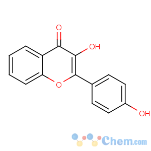 CAS No:14919-49-4 3-hydroxy-2-(4-hydroxyphenyl)chromen-4-one