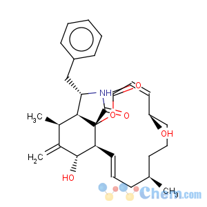 CAS No:14930-96-2 Cytochalasin B