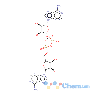 CAS No:14938-28-4 Adenosine3'-(trihydrogen diphosphate), P'®