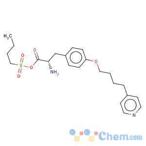 CAS No:149490-61-9 N-Butylsulfonyl-O-(4-(4-pyridinyl)butyl)-L-tyrosineN-Butylsulfonyl-O-(4-(4-pyridinyl)butyl)-L-tyrosineN-Butylsulfonyl-O-(4-(4-pyridinyl)butyl)-L-tyrosineN-Butylsulfonyl-O-(4-(4-pyridinyl)butyl)-L-tyrosineN-Butylsulfonyl-O-(4-(4-pyridinyl)butyl)-L-tyrosineN-Butylsulfonyl-O-(4-(4-pyridinyl)butyl)-L-tyrosineN-Butylsulfonyl-O-(4-(4-pyridinyl)butyl)-L-tyrosineN-Butylsulfonyl-O-(4-(4-pyridinyl)butyl)-L-tyrosine