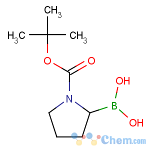 CAS No:149682-75-7 [1-[(2-methylpropan-2-yl)oxycarbonyl]pyrrolidin-2-yl]boronic acid