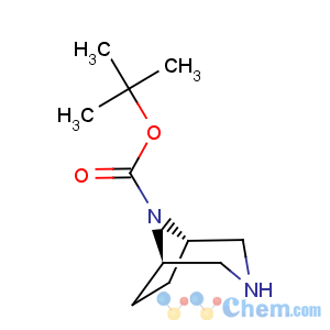 CAS No:149771-44-8 3,8-Diazabicyclo[3.2.1]octane-8-carboxylicacid, 1,1-dimethylethyl ester