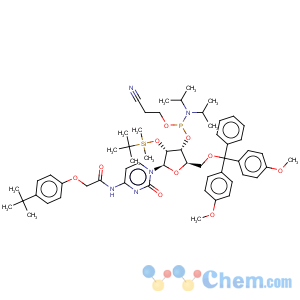 CAS No:149989-66-2 5'-O-(4,4-Dimethoxytrityl)-2'-O-[(tert-butyl)dimethylsilyl]-N-[[4-(tert-butyl)phenoxy]acetyl]cytidine-3'-(2-cyanoethyl-N,N-diisopropyl)phosphoramidite5'-O-(4,4-Dimethoxytrityl)-2'-O-[(tert-butyl)dimethylsilyl]-N-[[4-(tert-butyl)phenoxy]acetyl]cytidine-3'-(2-cyanoethyl-N,N-diisopropyl)phosphoramidite5'-O-(4,4-Dimethoxytrityl)-2'-O-[(tert-butyl)dimethylsilyl]-N-[[4-(tert-butyl)phenoxy]acetyl]cytidine-3'-(2-cyanoethyl-N,N-diisopropyl)phosphoramidite5'-O-(4,4-Dimethoxytrityl)-2'-O-[(tert-butyl)dimethylsilyl]-N-[[4-(tert-butyl)phenoxy]acetyl]cytidine-3'-(2-cyanoethyl-N,N-diisopropyl)phosphoramidite