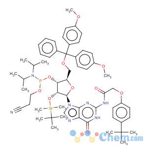 CAS No:149989-68-4 5'-O-(4,4-Dimethoxytrityl)-2'-O-[(tert-butyl)dimethylsilyl]-N-[[4-(tert-butyl)phenoxy]acetyl]guanosine-3'-(2-cyanoethyl-N,N-diisopropyl)phosphoramidite5'-O-(4,4-Dimethoxytrityl)-2'-O-[(tert-butyl)dimethylsilyl]-N-[[4-(tert-butyl)phenoxy]acetyl]guanosine-3'-(2-cyanoethyl-N,N-diisopropyl)phosphoramidite5'-O-(4,4-Dimethoxytrityl)-2'-O-[(tert-butyl)dimethylsilyl]-N-[[4-(tert-butyl)phenoxy]acetyl]guanosine-3'-(2-cyanoethyl-N,N-diisopropyl)phosphoramidite5'-O-(4,4-Dimethoxytrityl)-2'-O-[(tert-butyl)dimethylsilyl]-N-[[4-(tert-butyl)phenoxy]acetyl]guanosine-3'-(2-cyanoethyl-N,N-diisopropyl)phosphoramidite