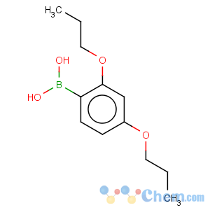 CAS No:150145-25-8 Boronic acid,(2,4-dipropoxyphenyl)- (9CI)