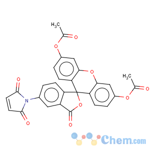 CAS No:150322-01-3 5-maleimidofluorescein diacetate