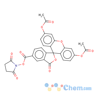 CAS No:150347-59-4 5-Carboxyfluorescein diacetate N-succinimidyl ester