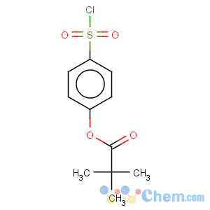 CAS No:150374-99-5 4-chlorosulfonylphenylpivalate