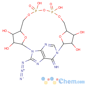 CAS No:150424-94-5 Adenosine5'-(trihydrogen diphosphate), 8-azido-1-b-D-ribofuranosyl-, intramol. P',5''-ester (9CI)
