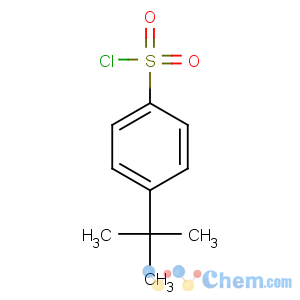 CAS No:15084-51-2 4-tert-butylbenzenesulfonyl chloride