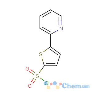 CAS No:151858-64-9 5-pyridin-2-ylthiophene-2-sulfonyl chloride
