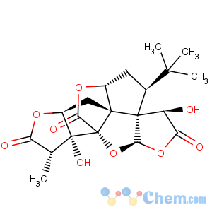 CAS No:15291-75-5 Ginkgolide A