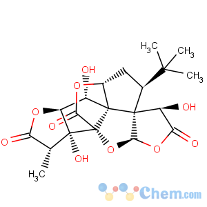 CAS No:15291-77-7 Ginkgolide B