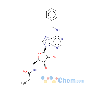 CAS No:152918-32-6 b-D-Ribofuranuronamide,1-deoxy-N-ethyl-1-[6-[(phenylmethyl)amino]-9H-purin-9-yl]-